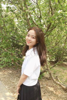 巨人导航seo